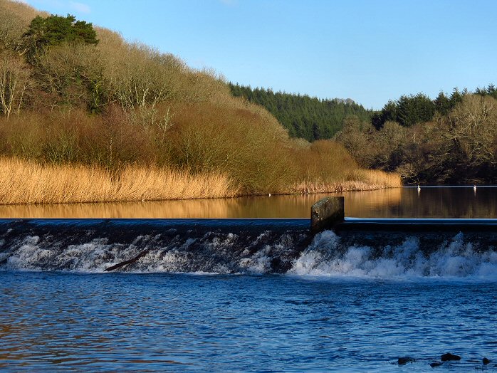 Lopwell Dam, Devon