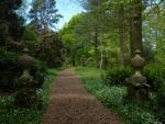 Saltram Gardens