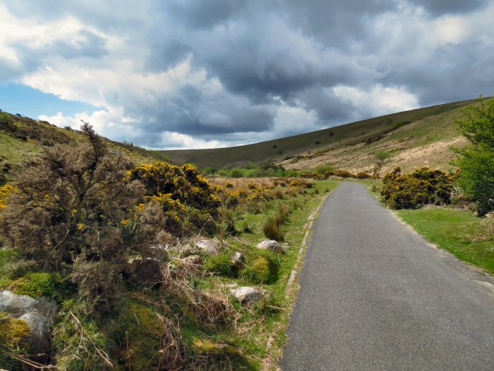 Avon valley, near Shipley Bridge, Dartmoor