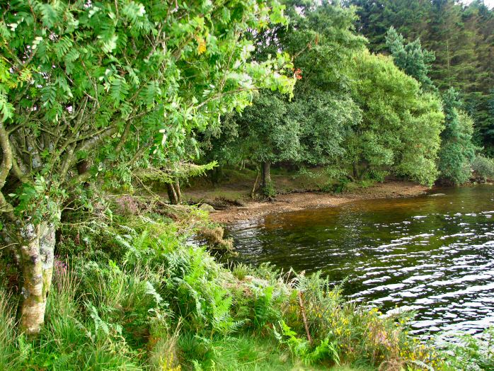 Venford Reservoir, Dartmoor