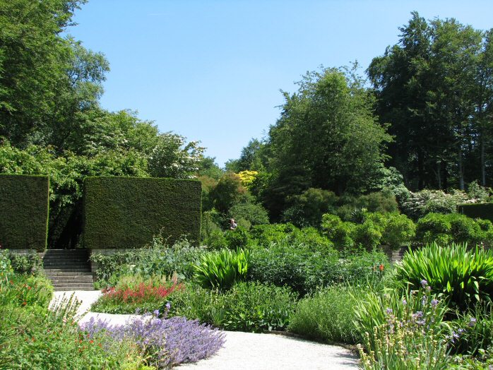 Castle Drogo - Rose & Herbaeous Gardens