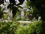 Cotehele - the terraced garden